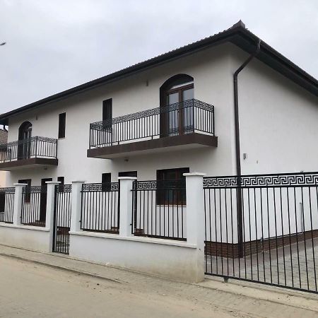Holiday Luxury Villa With Private Garden Şelimbăr Εξωτερικό φωτογραφία