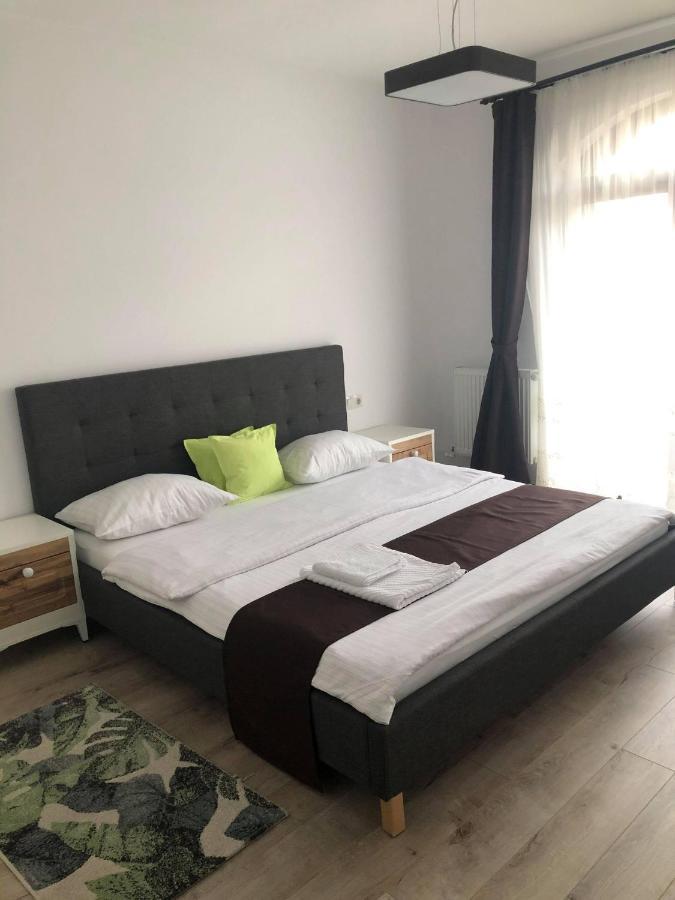 Holiday Luxury Villa With Private Garden Şelimbăr Εξωτερικό φωτογραφία