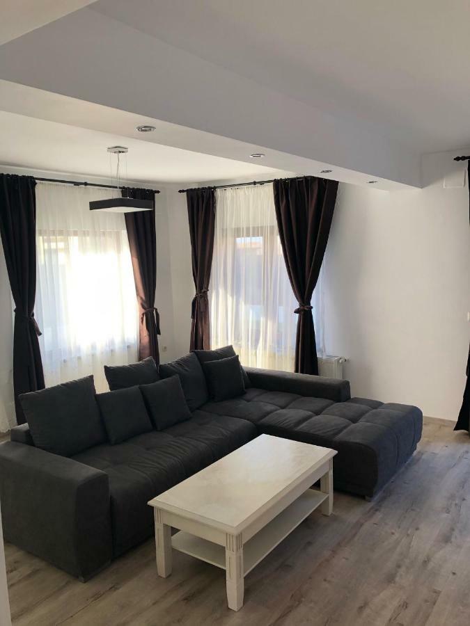 Holiday Luxury Villa With Private Garden Şelimbăr Εξωτερικό φωτογραφία